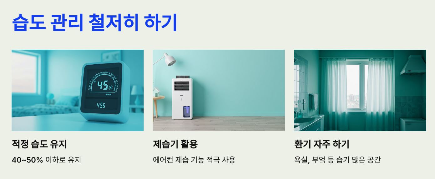 습도 관리 철저히 하기