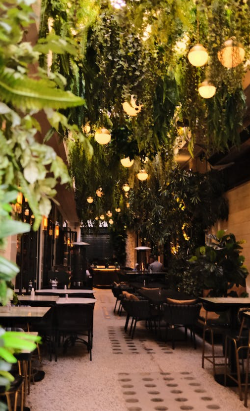 벽면 나무 인테리어