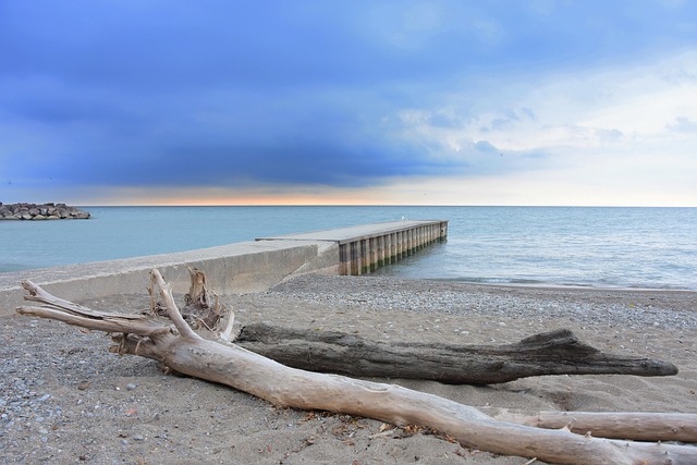 캐나다 토론토 해변
