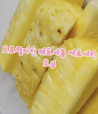 브로멜라인-퀘르세톨-케르세틴-효능