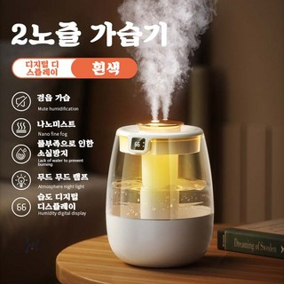 가정용 대용량 보틀형 더블 노즐 가습기 초음파 UV 살균 탁상용 가습기 1300ML, 흰색
