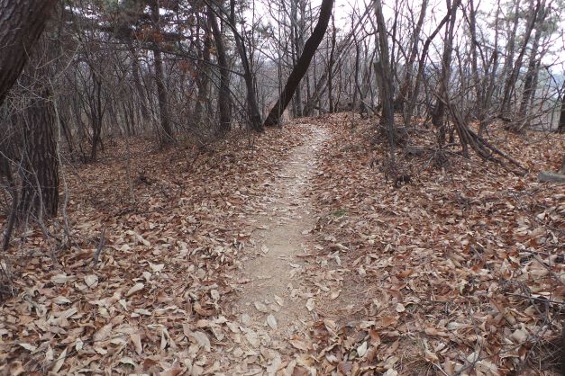 하산길 갈잎 수북한 능선길,