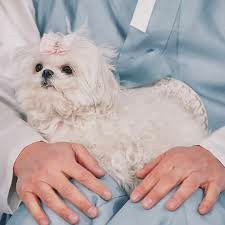 구성환 꽃분이 나이 프로필 사망 나혼산 국토대장정