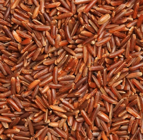 만성 췌장염에 좋은 음식 영양제 식단