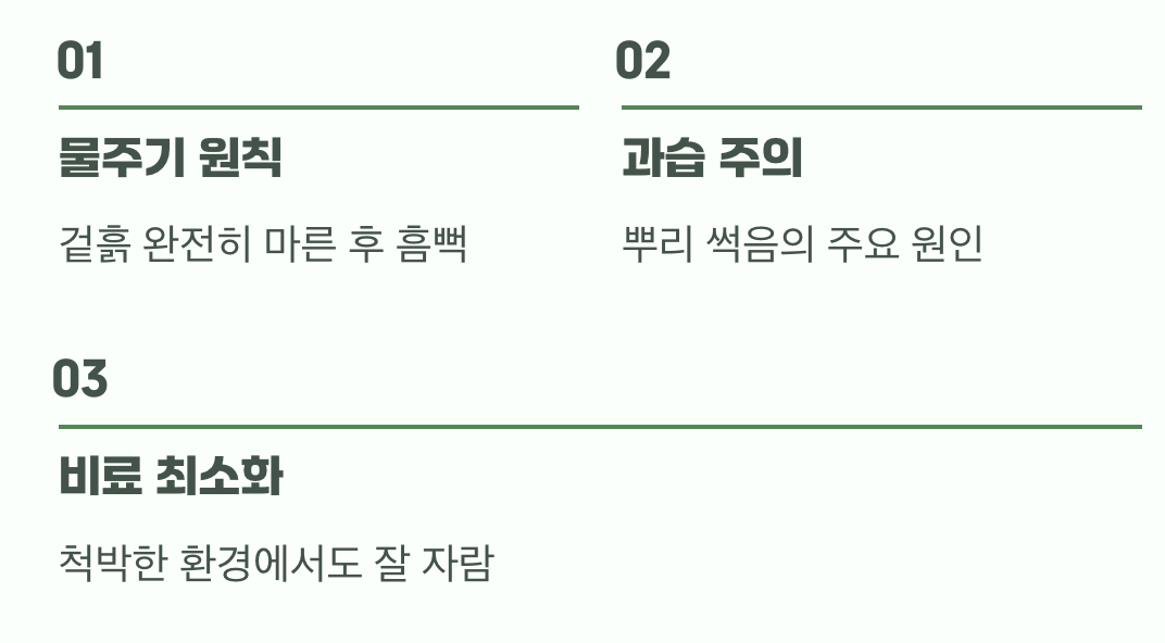 오히려 '덜' 돌보는 기술