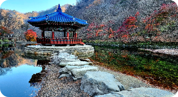 내장산 우화정 이미지/ 출처: 대한민국 구석구석