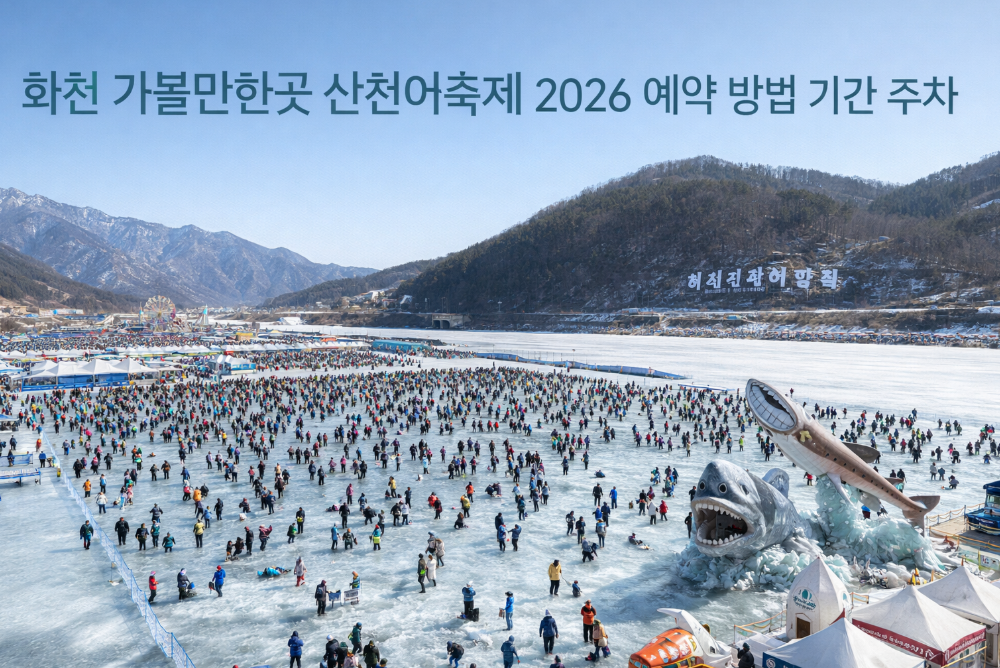 화천 산천어축제 2026 예약부터 주차까지 완벽 가이드