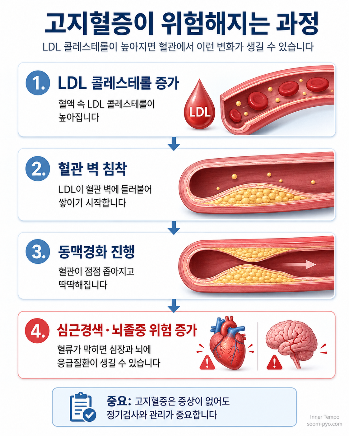 고지혈증 진행 과정 설명