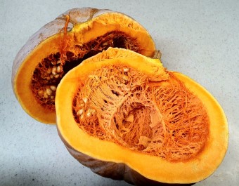 방광염에 좋은 음식 방광염의 진단과증상