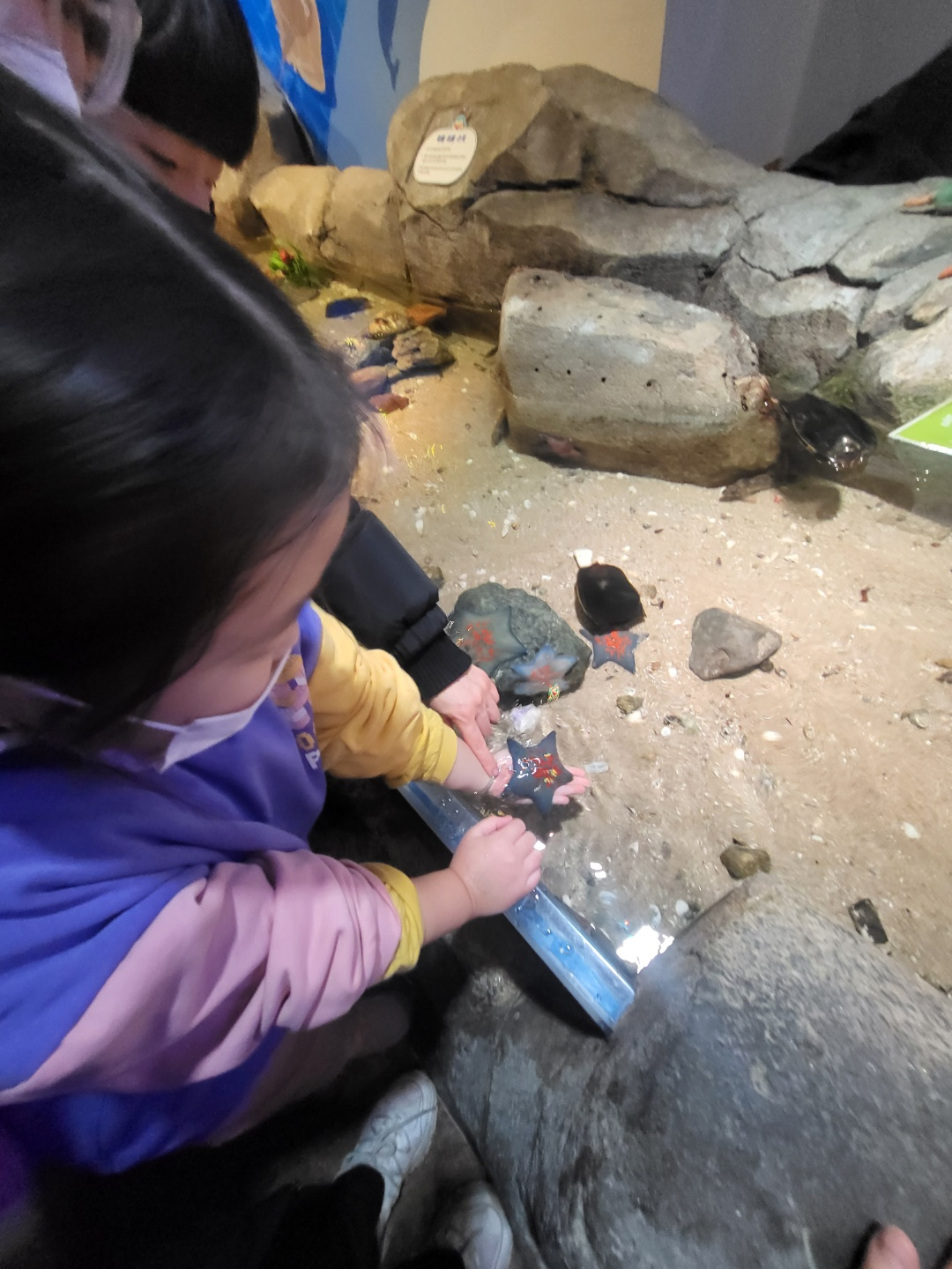 부산 아쿠아리움