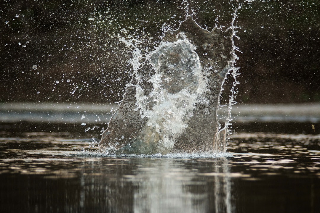 Waterbomb