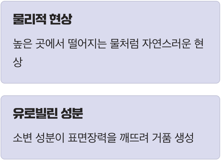 거품은 왜 생기는 걸까요?