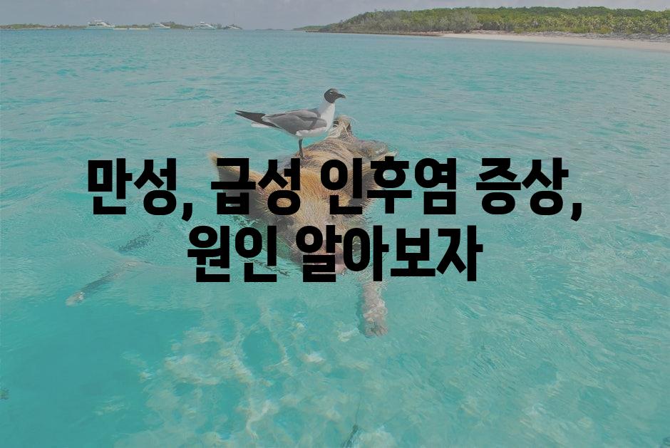 샘플 (1)