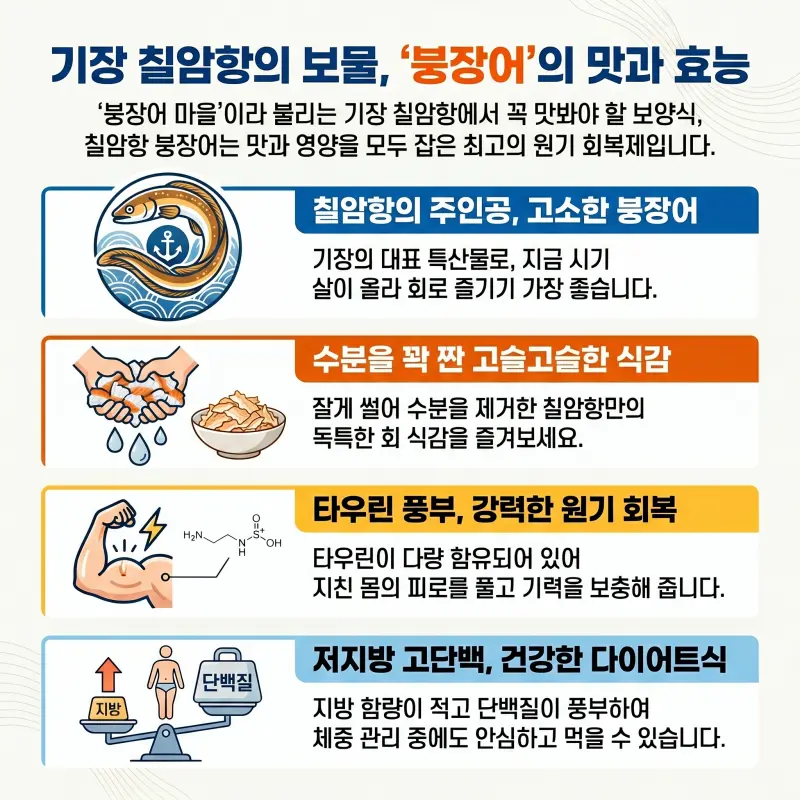 2026년 6월 이달의 등대 여행과 함께 즐기는 칠암항 붕장어