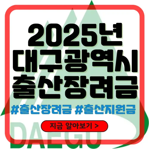 2025년 대구광역시 출산장려금