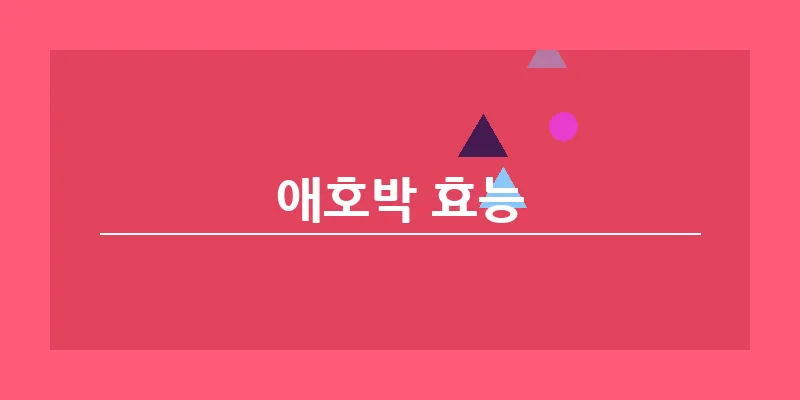 애호박 효능_8