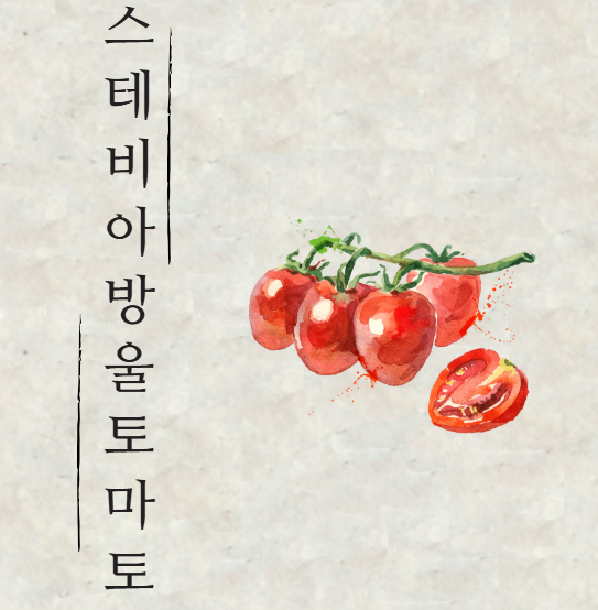 스테비아 방울토마토