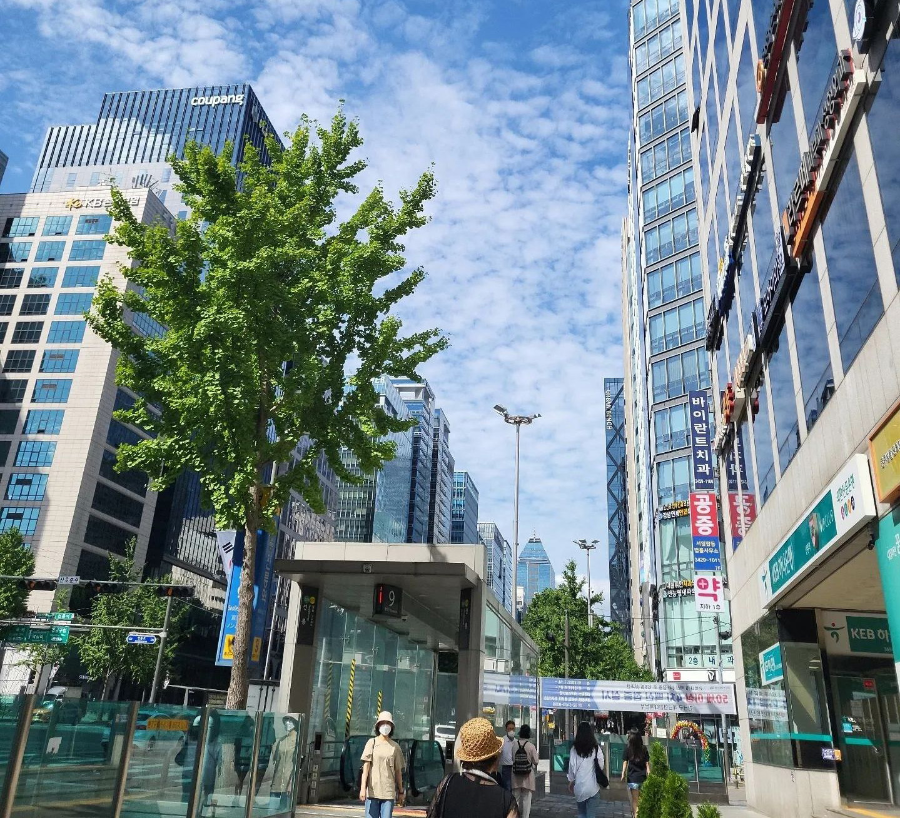 KMI-한국의학연구소-선릉역