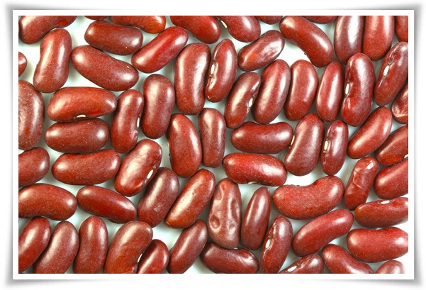 8월에 심기 좋은 텃밭 작물, 풍성한 수확을 위한 최고의 작물 추천