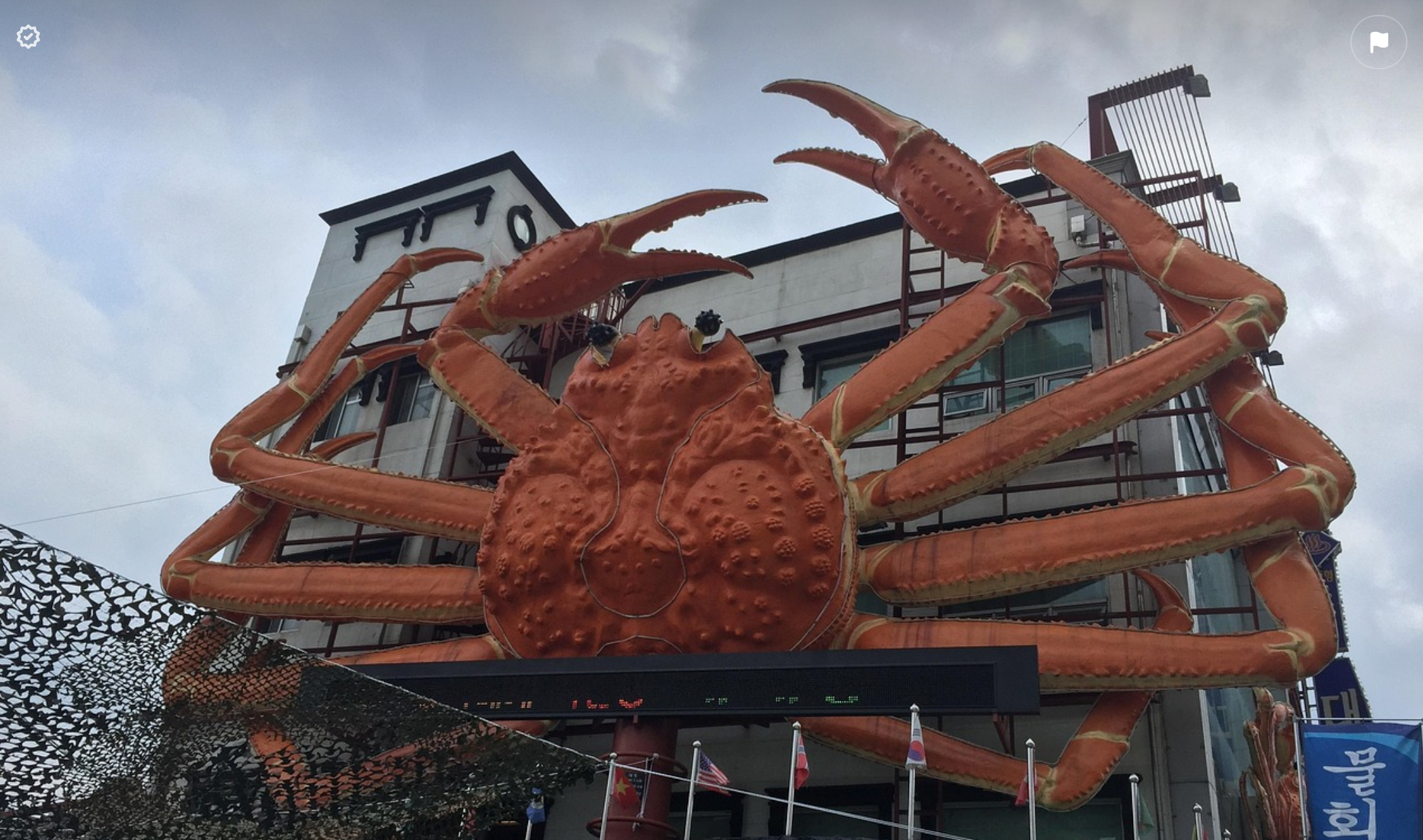 영덕 대게 축제