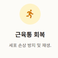 생강 효능