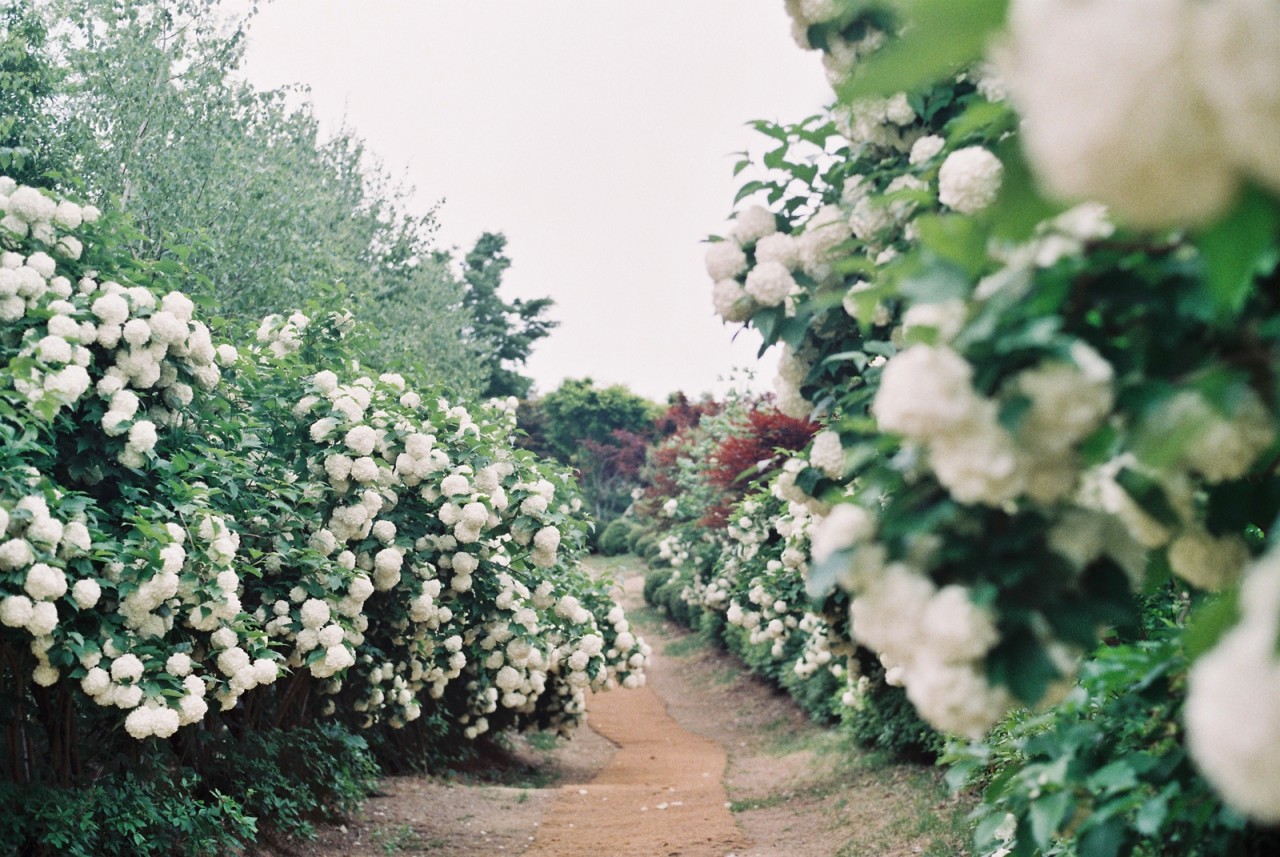 진안꽃잔디동산