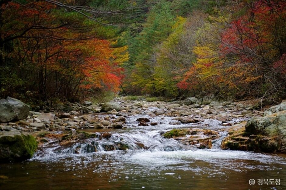봉화 가볼만한곳 베스트 10