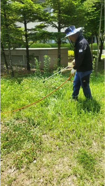 잡초 방제 전략 광폭멀칭 피복재 선발아 겨울관리_20