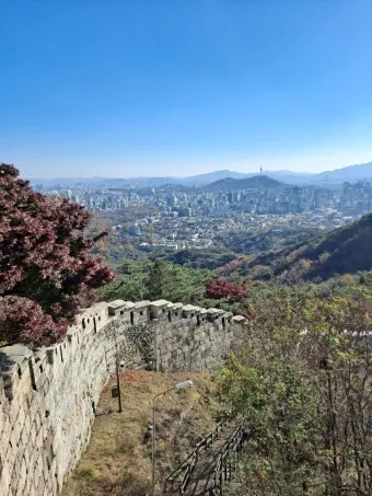 북악산 등산 코스 완벽 추천 가이드와 안전 정보_17