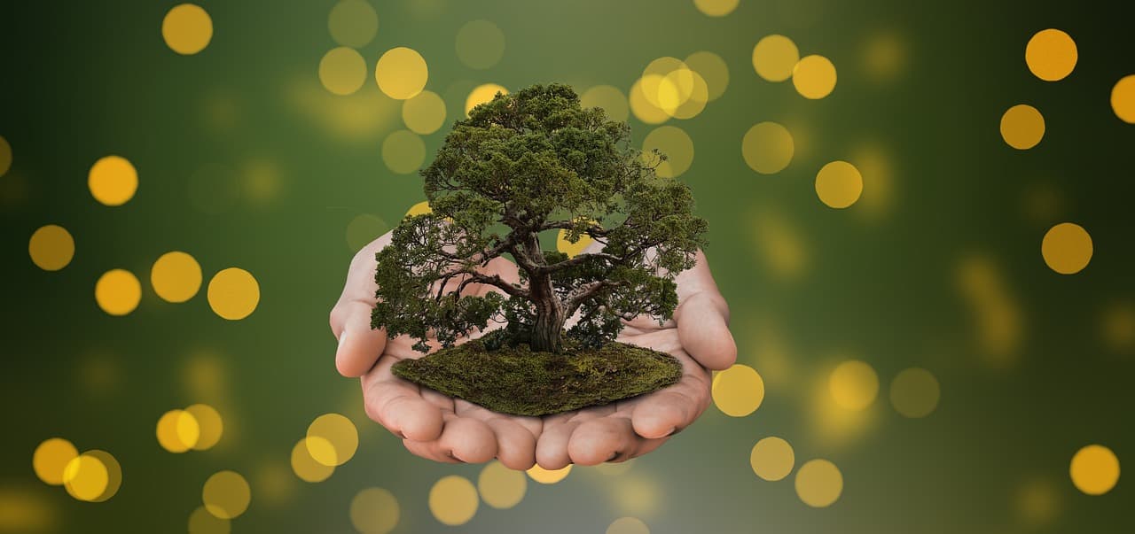 리필스테이션 100% 활용법: 어디서, 어떻게, 무엇을?