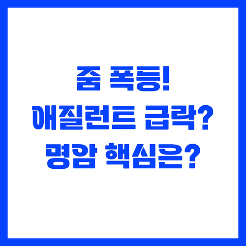 줌 심보틱 급등 애질런트 급락 명암을..