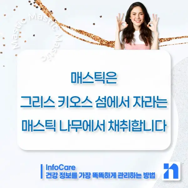 매스틱 효능 복용법 매스틱검