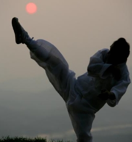 택견이란 무엇인가?