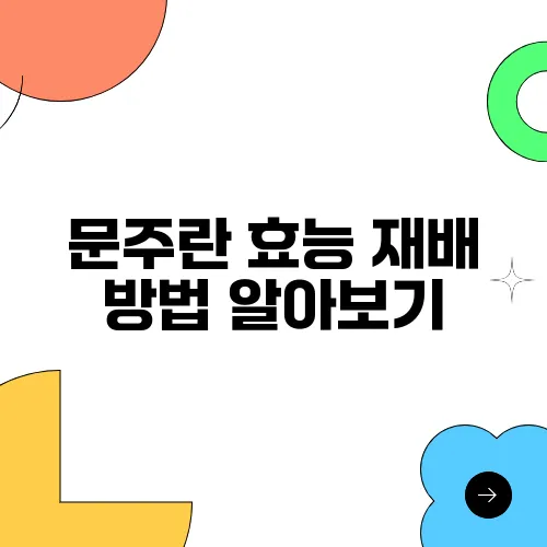 문주란 효능 재배 방법 알아보기