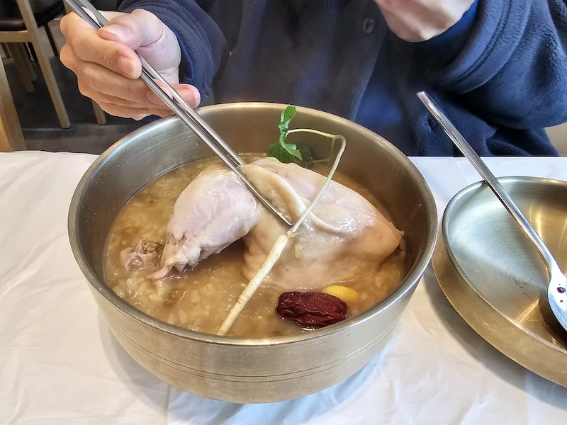 청송 여행 신촌약수식당 보양식 닭불백술 닭불고기 닭백숙 청송맛집
