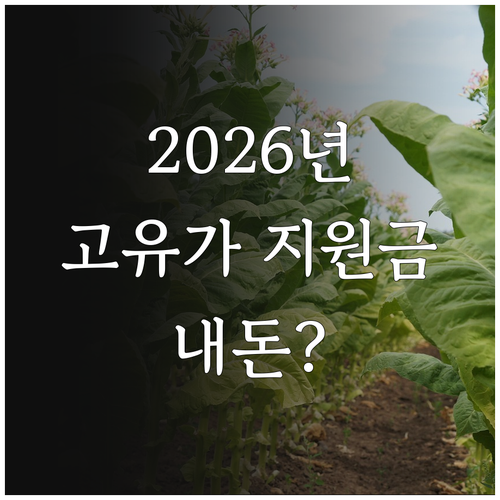 2026년 고유가 지원금 대상자 확인..