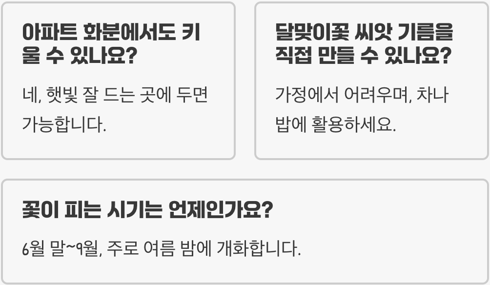 달맞이꽃 씨앗부터 꽃까지 키우기 A to Z (파종, 물주기, 관리법 총정리)
