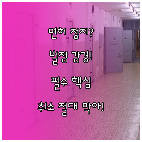 면허 정지와 취소를 막는 운전면허 벌..