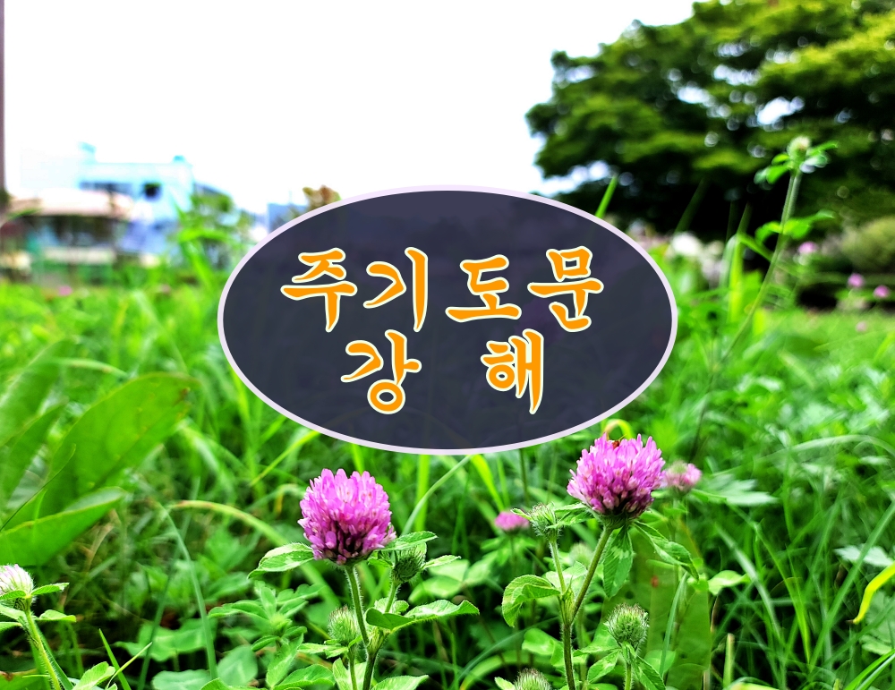 주기도문강해