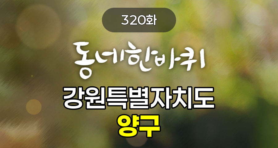 KBS 동네한바퀴 강원특별자치도 양구 320화 2025년 5월 17일 맛집 식당 업체 촬영장소 촬영지 정보, 한반도 섬, 곰취 피자 - 전망대레스토랑, 양구백자박물관, 양구 브런치 - 033, 펀치볼 둘레길, 청춘상회 - 춘천상회, 오골계숯불구이 – 석장골 오골계, 공수리