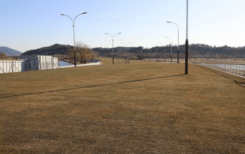 그린아일랜드소개2