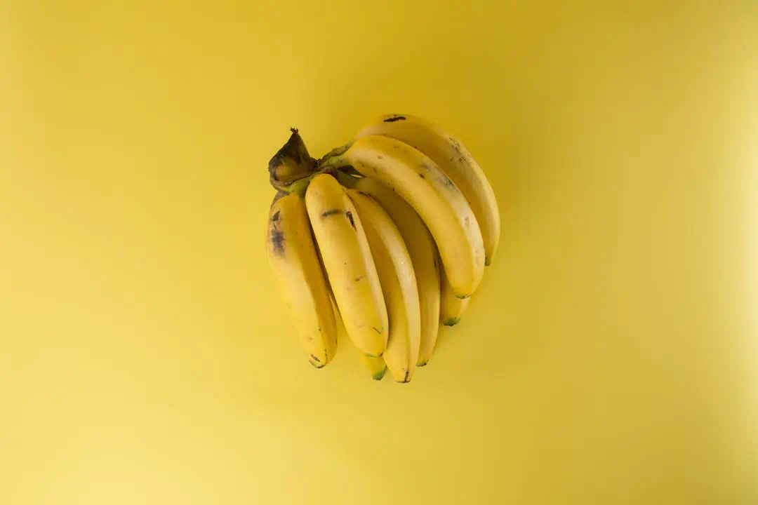 몽키바나나의 모습