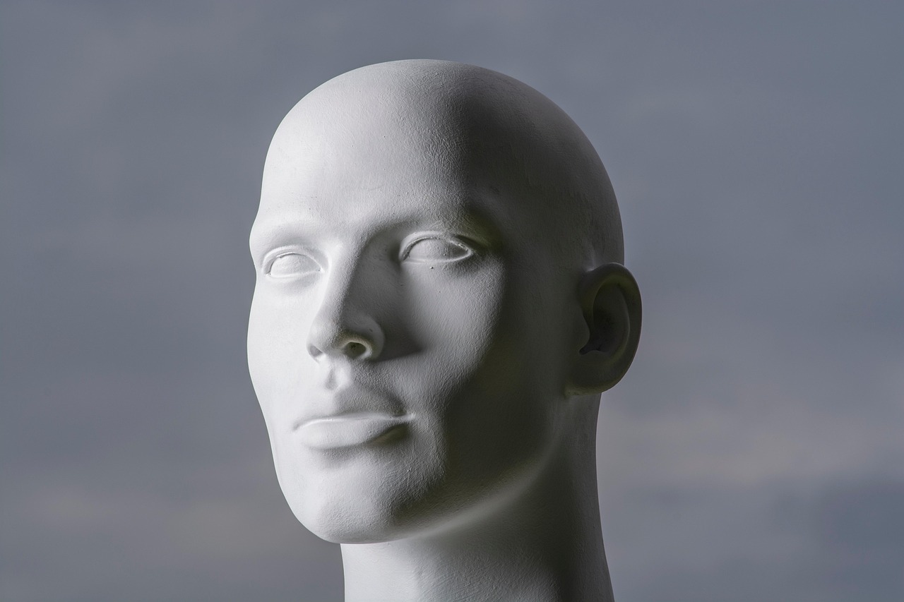 탈모 치료제 vs 모발이식 vs 대머리 문신 비교: 탈모 해결 3대 옵션 총정리