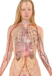 글루타치온 효능과 효과 부작용 완벽한 총정리