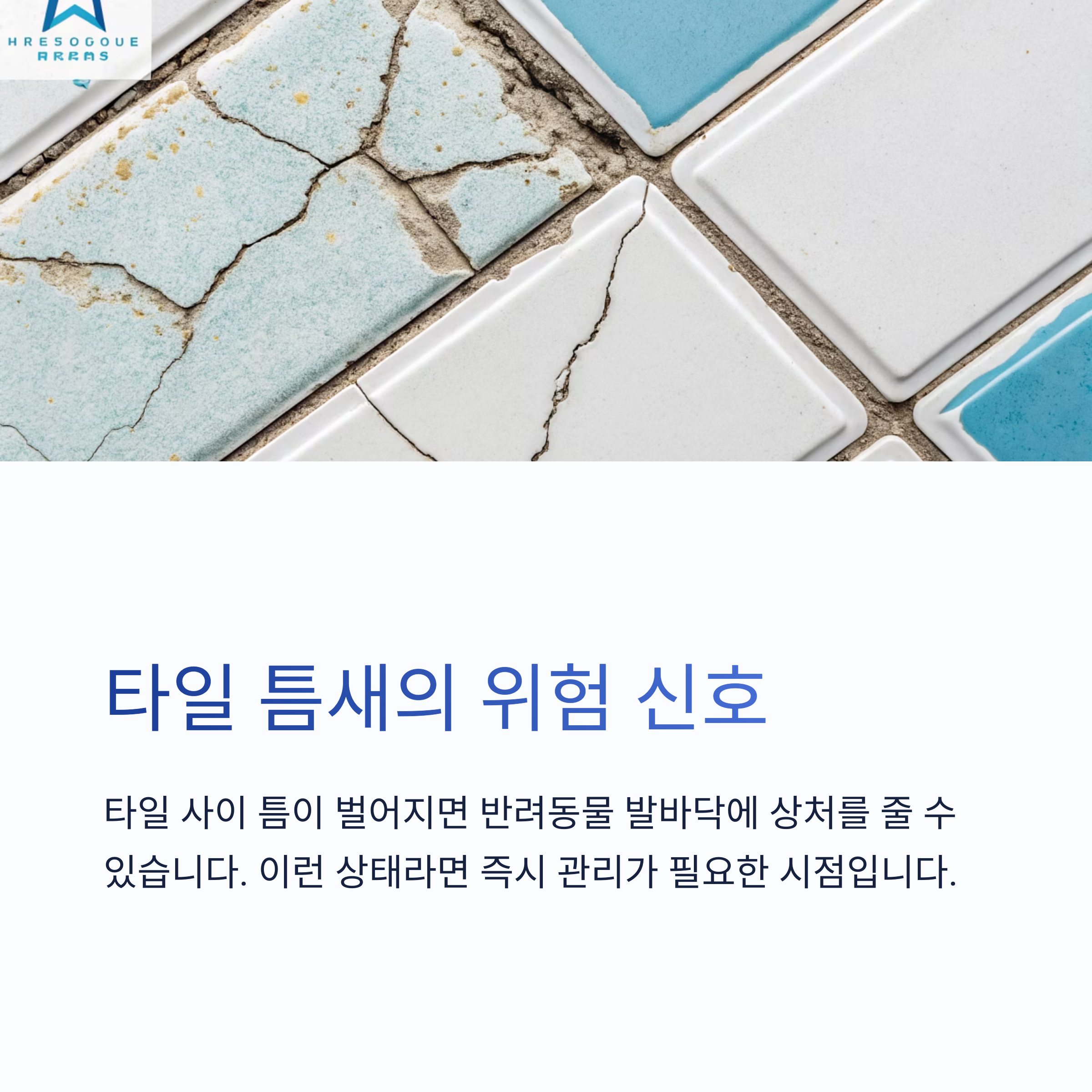 반려동물 있는 집, 줄눈 관리 꼭 필요한 이유