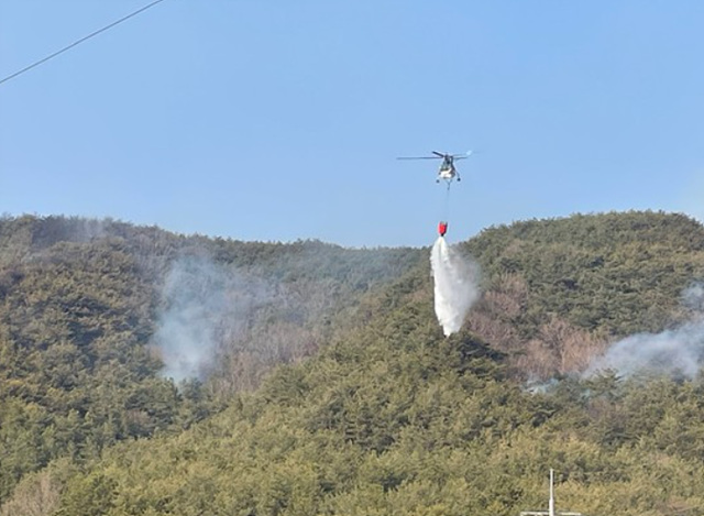 산불 피해 보상금 신청 방법 서류