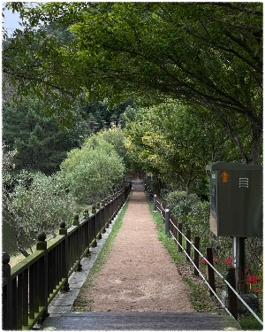 양을산