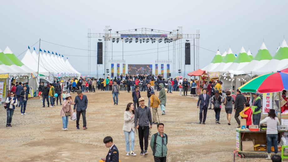 제18회 장고항 실치마을 수산물 홍보행사 기본정보와 프로그램 정리 김의영 이진관 하이런 등 출연