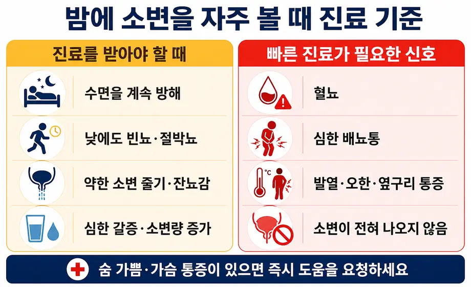 혈뇨 배뇨통 발열 부종 등 야간뇨 병원 진료가 필요한 증상
