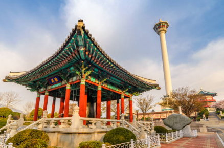 청와대－관람신청